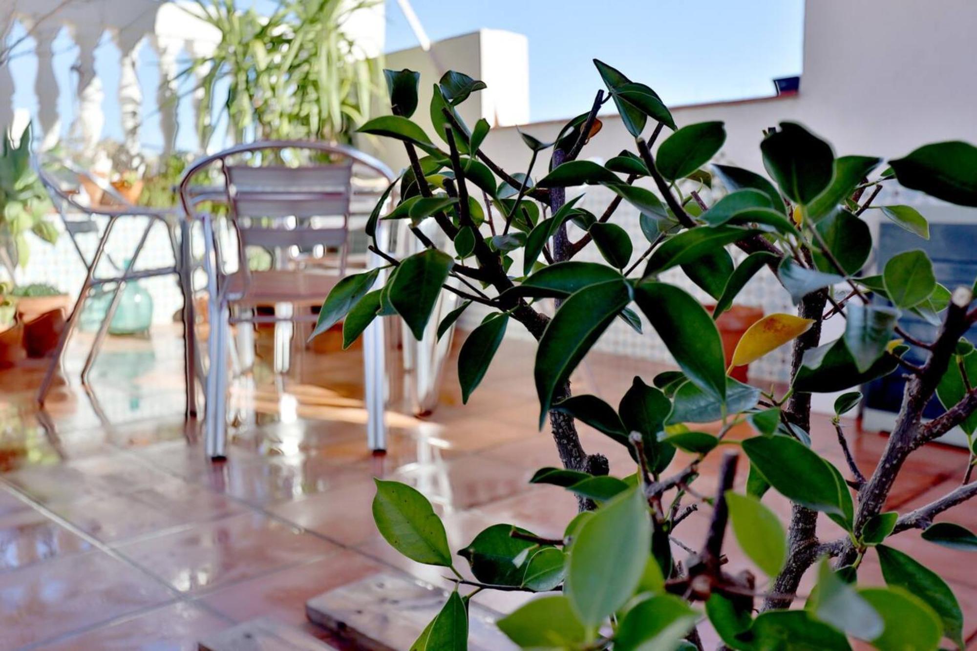 Apartmán Atico Con Terraza En Pleno Centro Córdoba Exteriér fotografie